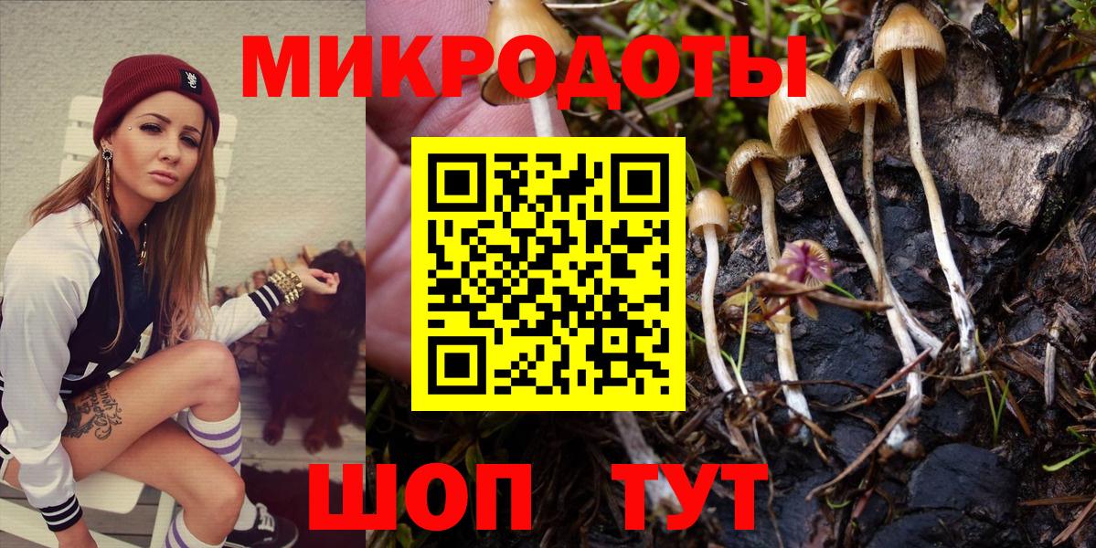Галлюциногенные грибы Psilocybine cubensis Железноводск